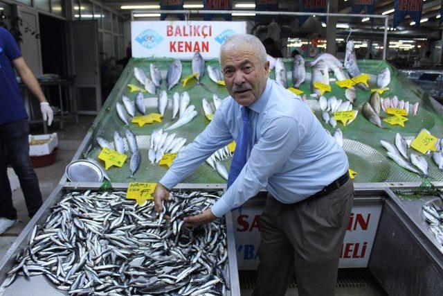 Balık tezgahları boş, bu sezonun kurtarıcısı hamsi oldu