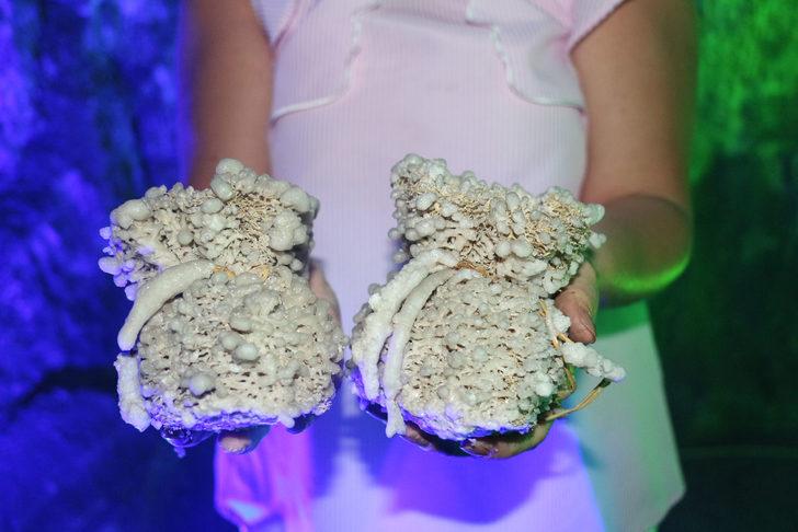 Kurutulmuş bağırsaklardan kıyafetler yaptı! G4