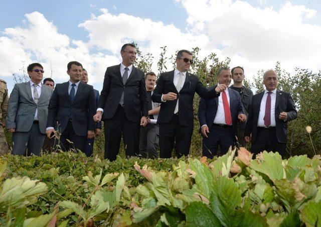 Rektör Çomaklı hükümlülerin yetiştirdiği ürünleri inceledi