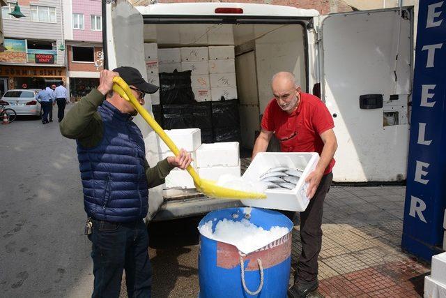 Balıkçılar istedikleri palamut umudunu bulmaya başladı