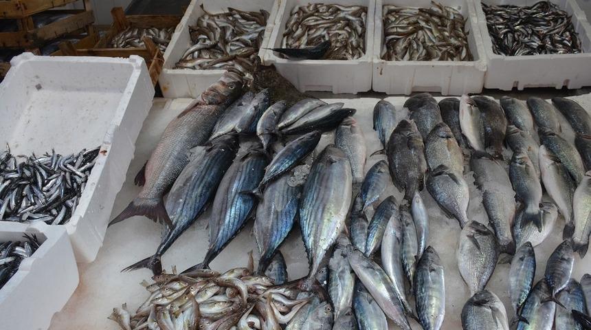 Balık&ccedil;ılar istedikleri palamut umudunu bulmaya başladı