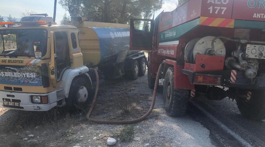 Kaş&rsquo;ta arazi yangını, &ccedil;am ağa&ccedil;ları yandı