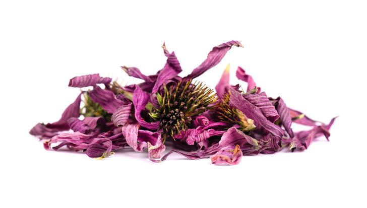 Akciğerleri temizleyen kür tarifleri, akciğerleri temizleyen besinler nelerdir? G3