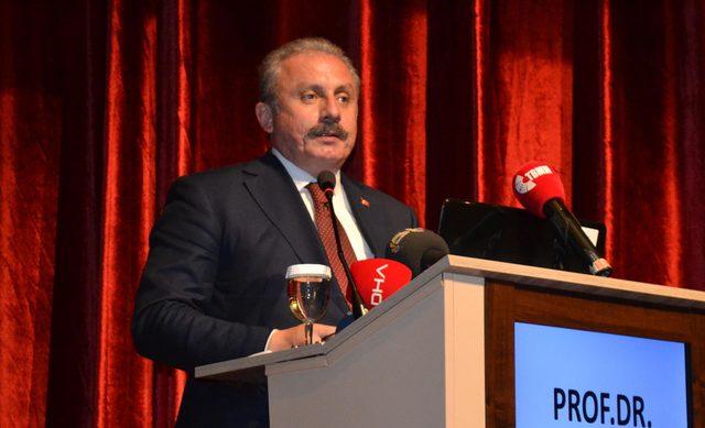 TBMM Başkanı Şentop: Türkiye'de kötümser ve karamsar bir kesim var (3)
