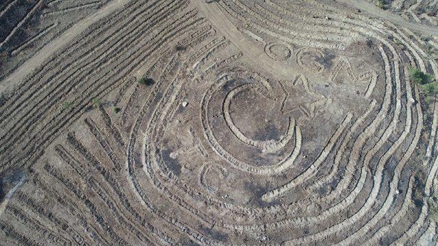 Sivas'ta yanan ormanlık alana 'ay yıldızlı' proje