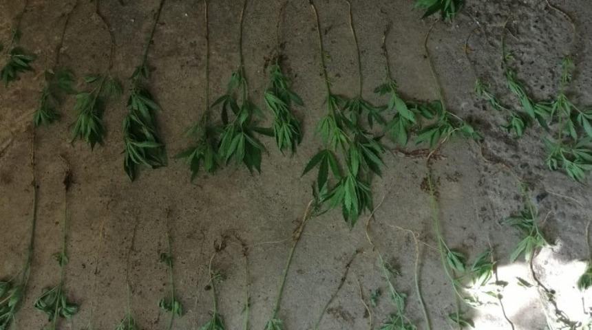 K&ouml;yceğiz&rsquo;de uyuşturucu operasyonu, baba oğul g&ouml;zaltına alındı