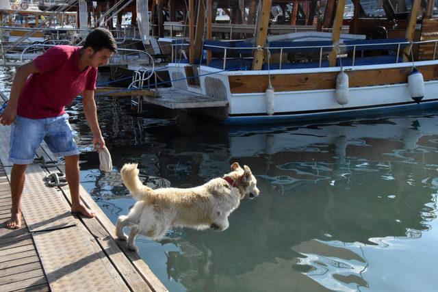  Tarzan ın deniz tutkusu 2
