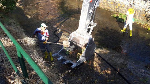 Dalakdere ekiplerce temizlendi