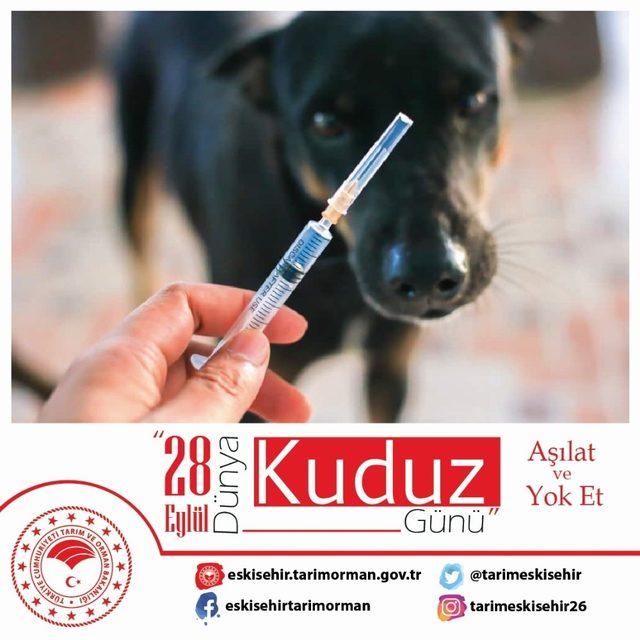 Eskişehir’de 14 bin kedi köpeğe kuduz aşısı