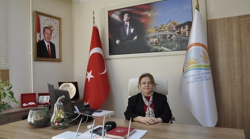 Eskişehir&rsquo;de 14 bin kedi k&ouml;peğe kuduz aşısı