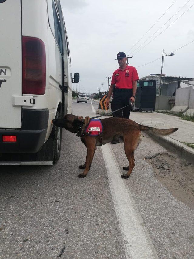 Ordu’da yollarda sıkı denetim