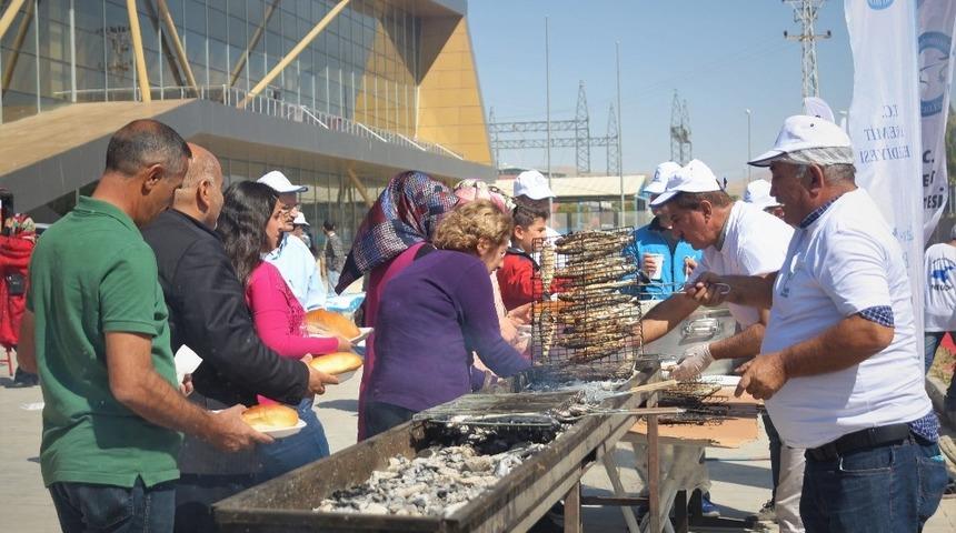 Van&rsquo;da &ldquo;5&rsquo;inci Van Balığı Festivali&rdquo;ne yoğun ilgi