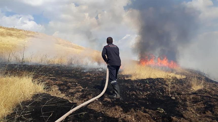 Yangın ağa&ccedil;lara zarar verdi