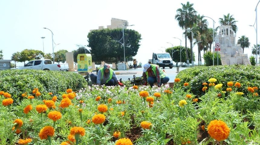 Mersin Büyükşehir Belediyesi 100 kadını istihdam edecek