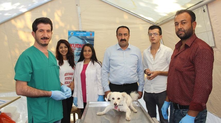Sahipli ve sahipsiz hayvanlara kuduz aşısı