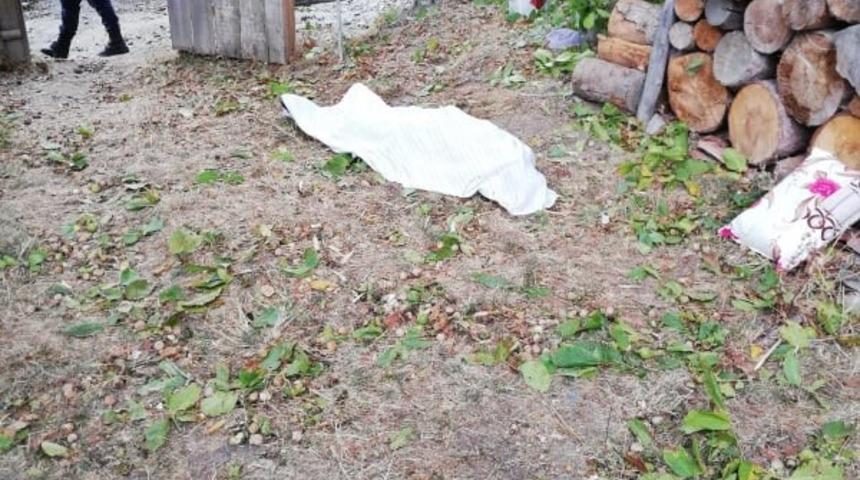 Tosya&rsquo;da cevizden d&uuml;şen kişi &ouml;ld&uuml;