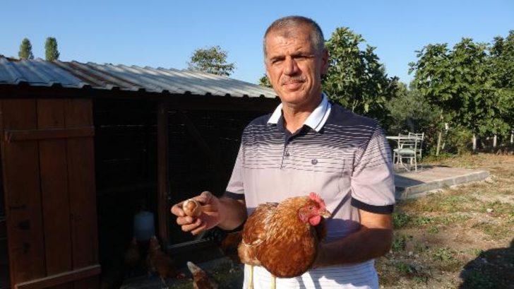 Bursa'da yumurtanın içinden yumurta çıktı G2