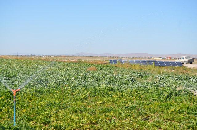 Tarlasına kurduğu güneş enerjisiyle mazot masrafından kurtuldu