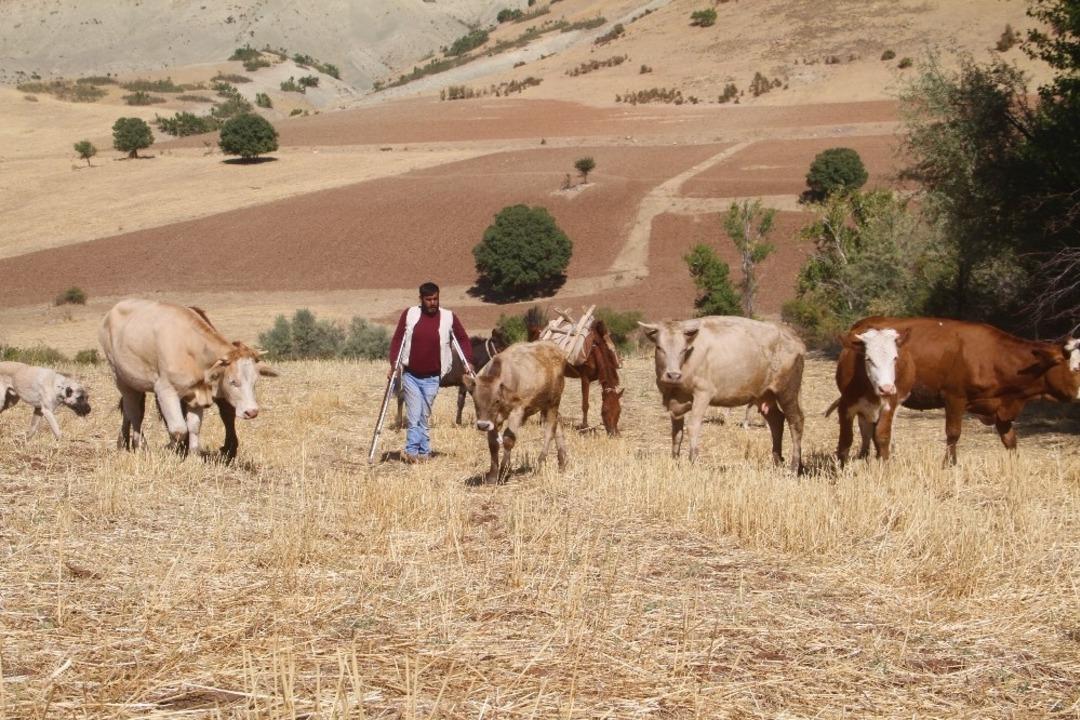 &Ouml;rnek yaşam m&uuml;cadelesi