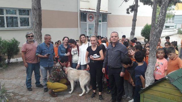 Sokak köpeği artık minik öğrencilere emanet