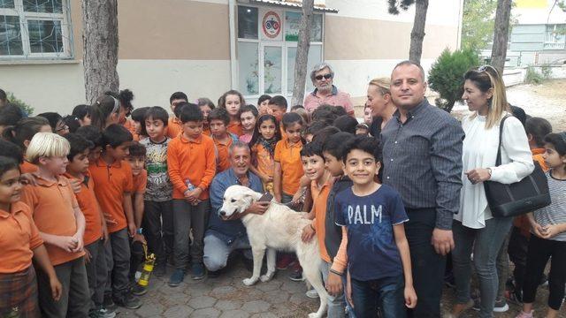 Sokak köpeği artık minik öğrencilere emanet