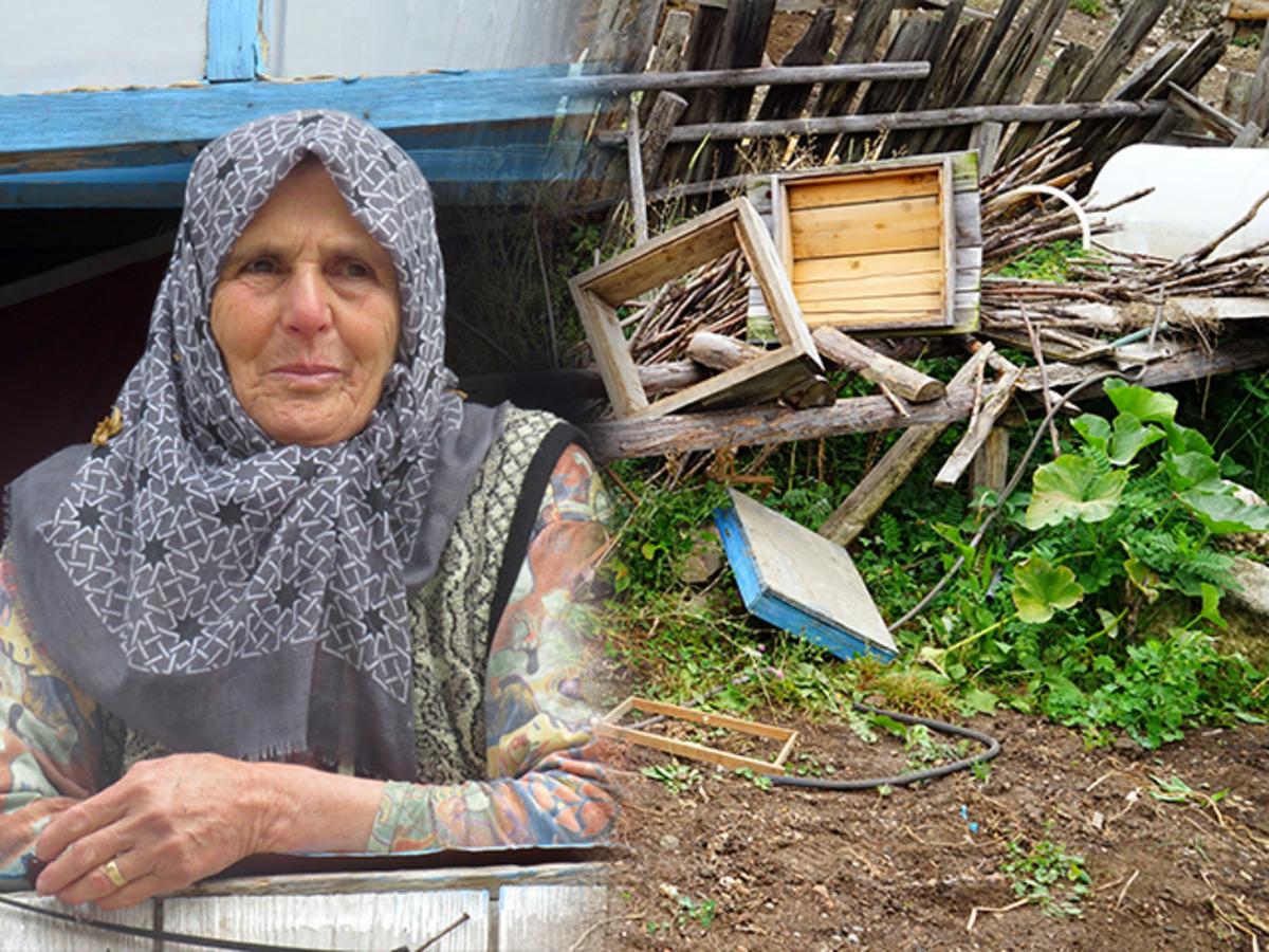 Kastamonu'da ayı saldırıları vatandaşları tedirgin etti