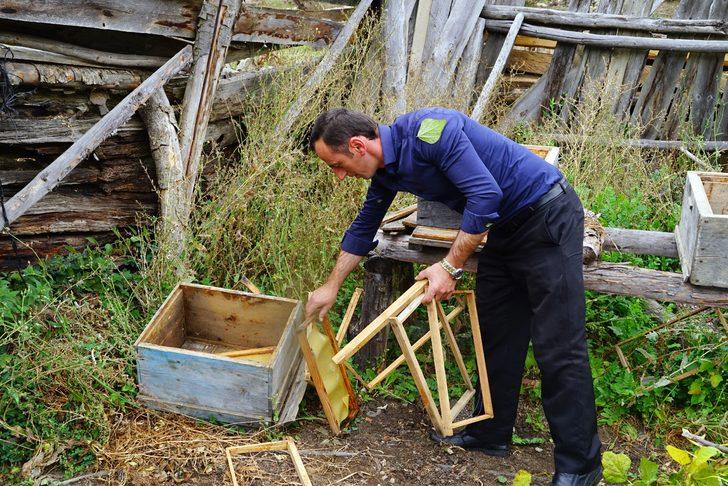 Kastamonu'da ayı saldırıları vatandaşları tedirgin etti G1