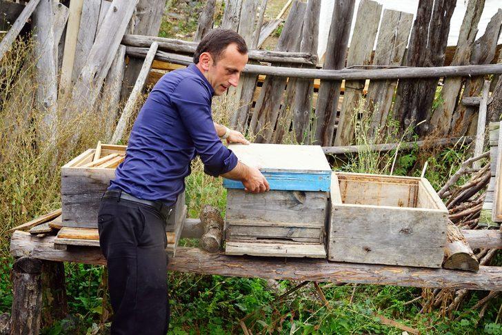Kastamonu'da ayı saldırıları vatandaşları tedirgin etti G3