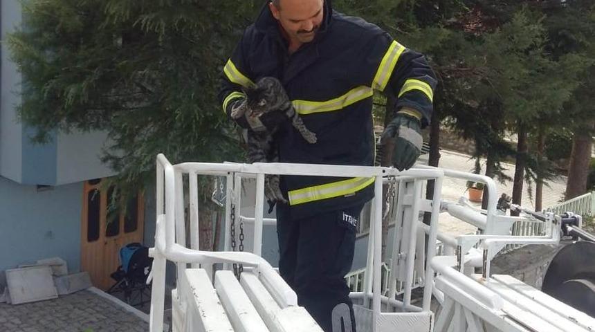 Manisa’da görme engelli kediyi itfaiye kurtardı