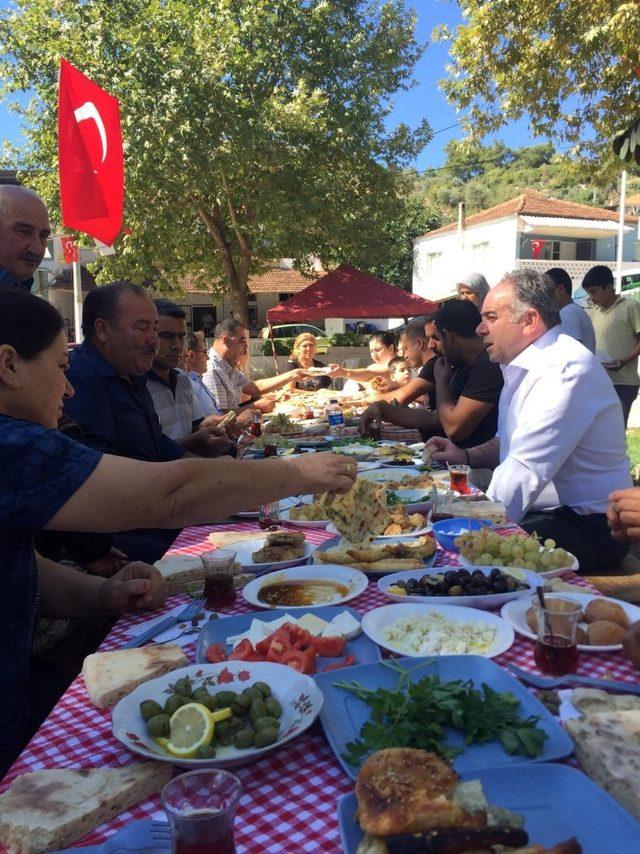 Selatin Köy Pazarı, 800 yıllık çınarın gölgesinde kuruluyor