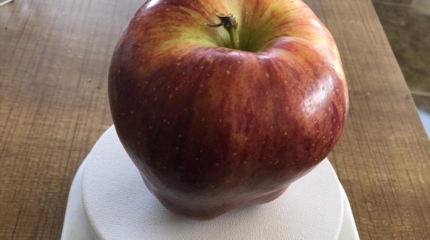935 gramlık elma g&ouml;renleri şaşırtıyor