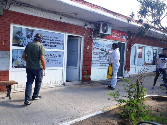 Sokak hayvanlarından yayılan keneler Eski Garaj’ı bastı imdada Ayvalık Belediyesi yetişti