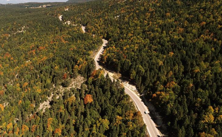 Uludağ'da sonbahar güzelliği G2