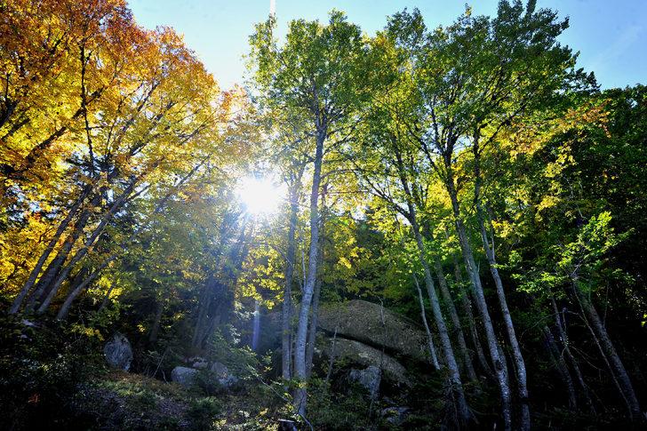 Uludağ'da sonbahar güzelliği G3