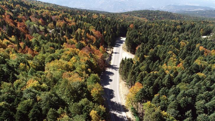 Uludağ'da sonbahar güzelliği G5