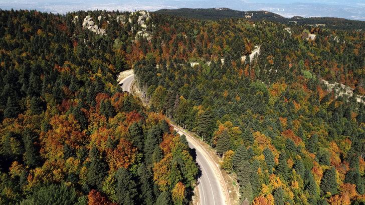 Uludağ'da sonbahar güzelliği G1