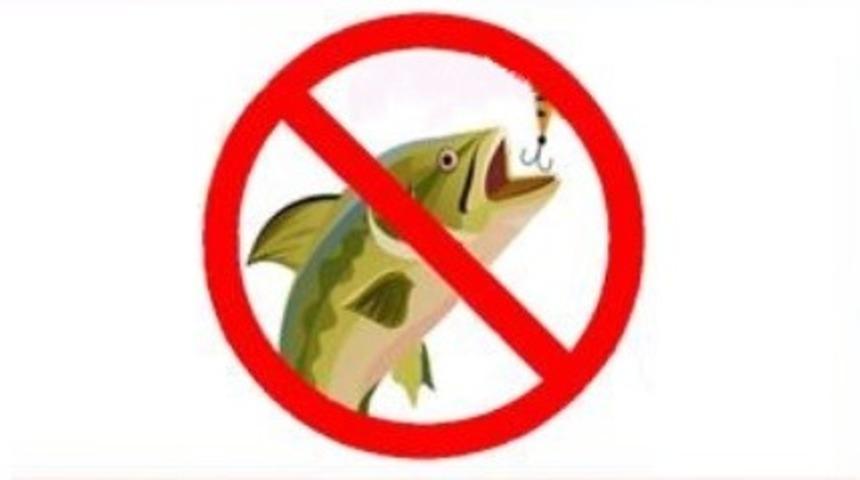 Doğal alabalık avı yasağı başladı