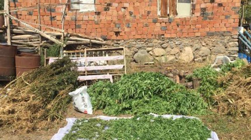 Bahçesinde uyuşturucu yetiştiren kişinin savunması 'pes' dedirtti