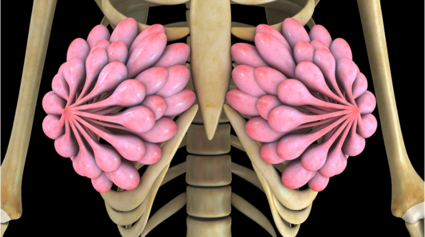 Meme başında akıntı, memede kitle kanser habercisi mi? İşte meme kanseri hakkında doğru bilinen yanlışlar