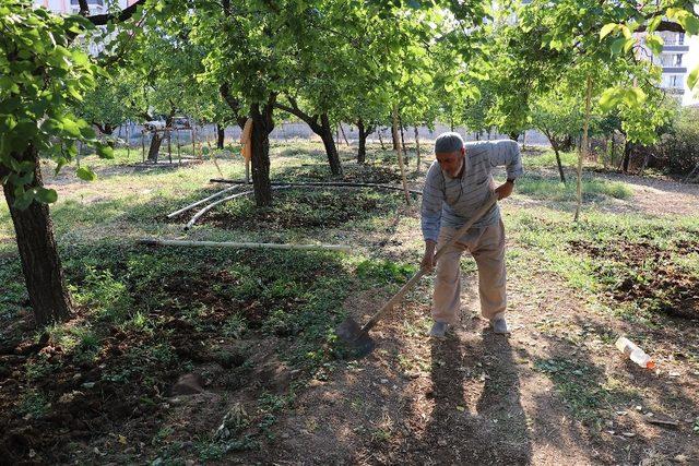 Hac hayalini dolandırıcılar bozdu