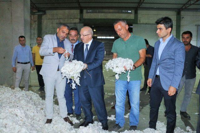 Ticaret Bakan Yardımcısı U&ccedil;armak: "Beyaz altın değerini bulmalı " 2