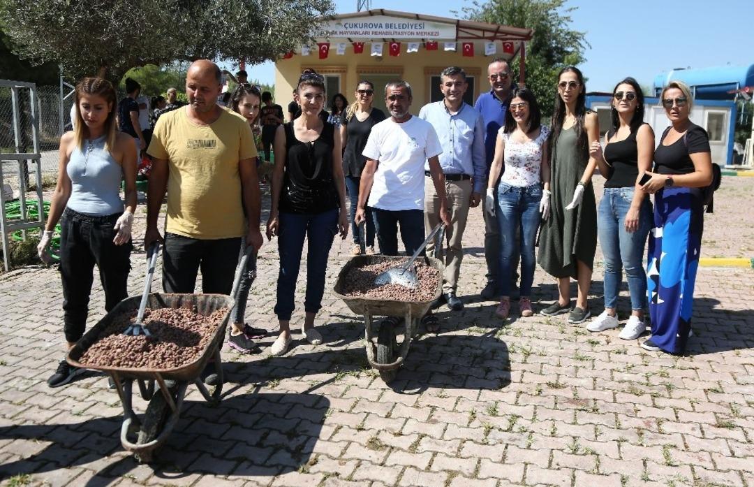 Sokak hayvanları i&ccedil;in seferberlik