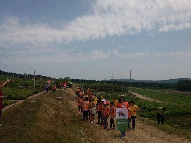 Sinop’ta tabiat yürüyüşü