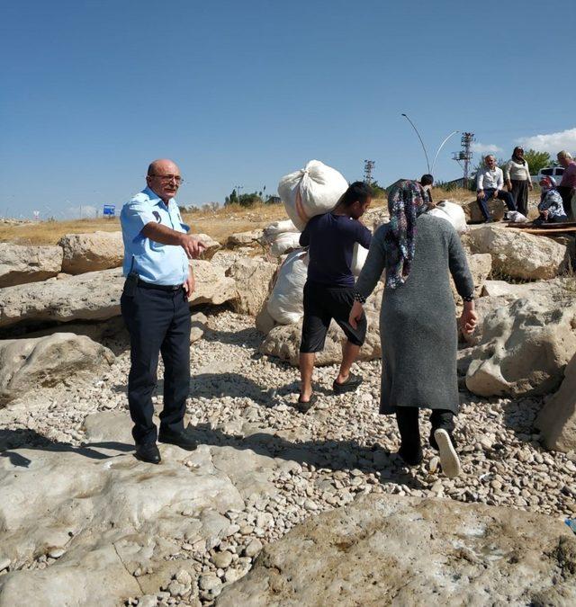 Van Gölü sahillerinde yün denetim