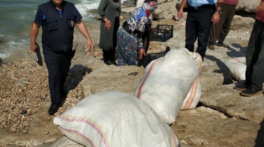 Van G&ouml;l&uuml; sahillerinde y&uuml;n denetim