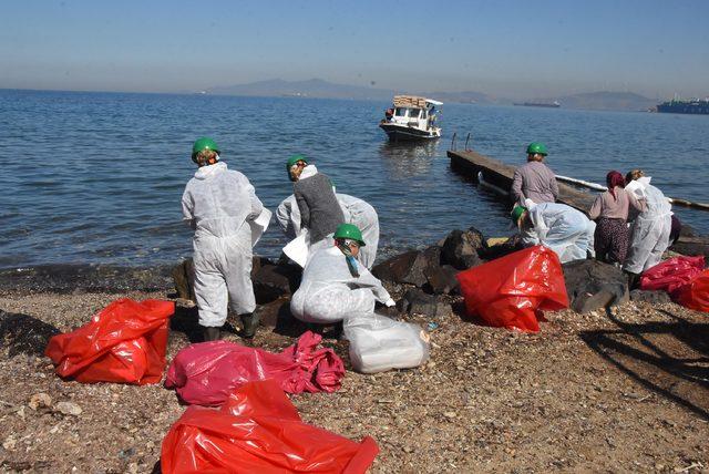 Foça'da kıyılara bulaşan petrol atığını 50 kişilik ekip temizliyor