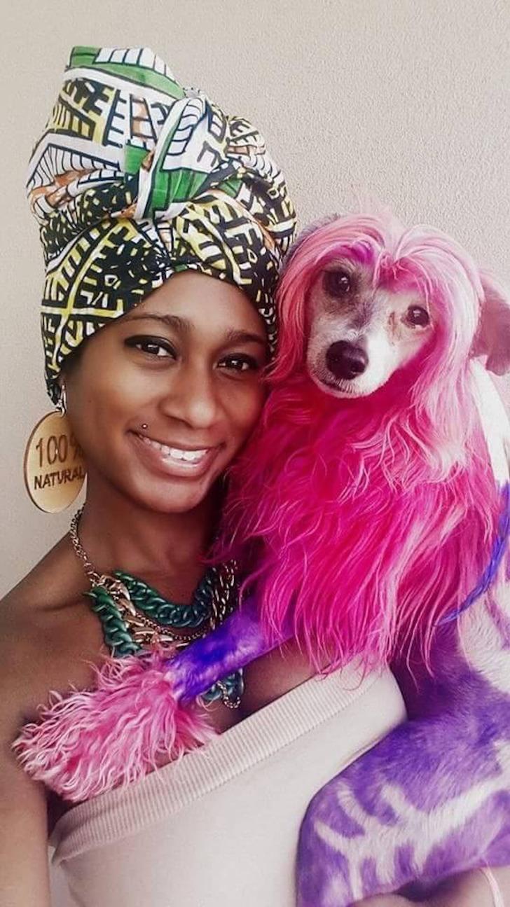 Köpek kuaförünün birbirinden ilginç tasarımları şaşırttı! G4