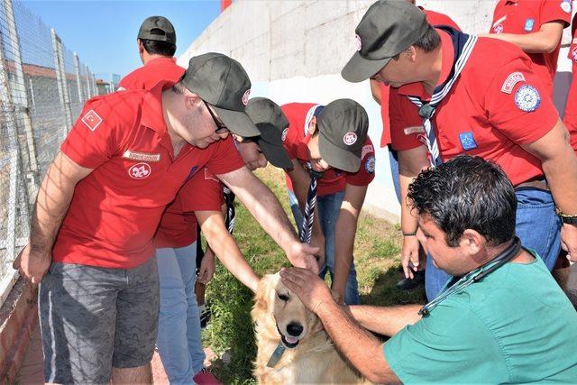 Geçici Hayvan Bakımevi engelli izci dostlarını ağırladı