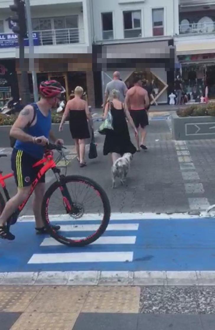 Yaya kırmızıda geçti, köpek yeşil ışığı bekledi G1