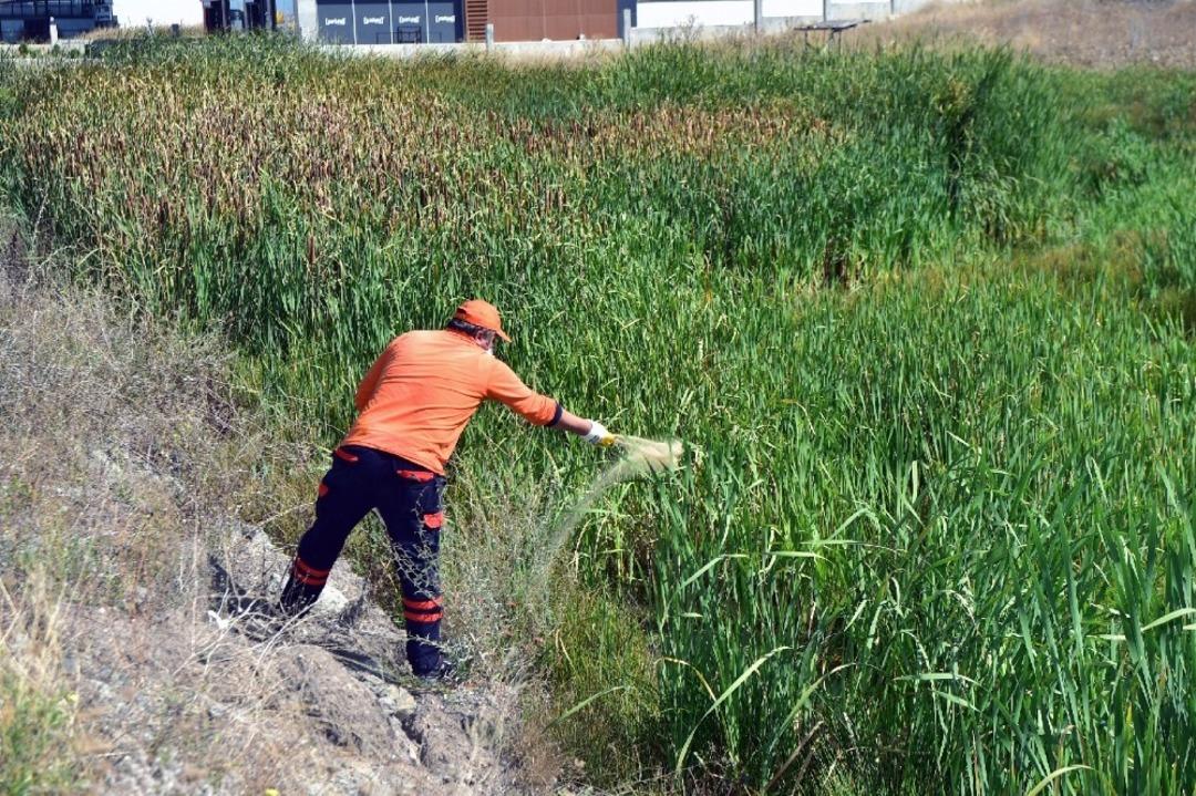 Başkent&rsquo;te haşereyle etkin m&uuml;cadele